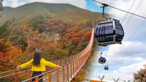 Seoul: DMZ with Optional Suspension Bridge & Gondola
