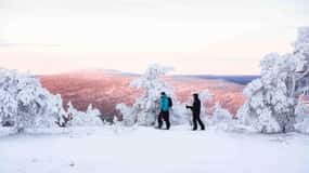 Levi: Aventura guiada con raquetas de nieve