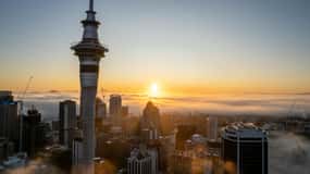 Tour di mezza giornata delle attrazioni e dei musei di Auckland