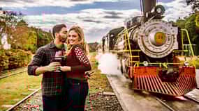 Canela/Gramado: South Wineries, Wine Train, & Italian Park