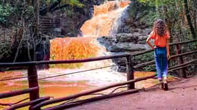 Karura forest A walking tour from Nairobi