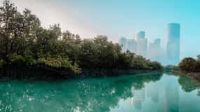 Abu Dhabi: Parcul Central Reem - tur ghidat de 2 ore cu caiacul