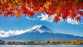Tokyo to Mt. Fuji & Hakone: Private Full-Day Tour