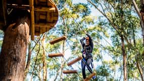 Oeste de Sydney: Cursos de cuerdas en los árboles