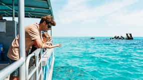 Moreton Island: Marine Discovery Cruise & Dolphin Feeding