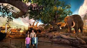 Springfield: Wonders of Wildlife National Museum & Aquarium