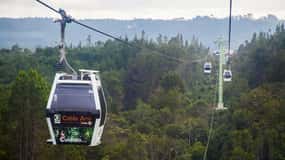 Arvi park walking tour and city views from metrocable.