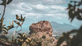 From Colombo: Sigiriya and Dambulla Day Trip and Safari