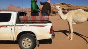 Wadi Rum: 9 timmars privat rundtur med 3 måltider och övernattning