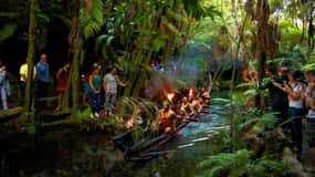 Auckland: Māori Evening Dinner and Private Show Experience