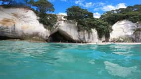 Auckland: Cathedral Cove, plaża z gorącą wodą i Coromandel Tour