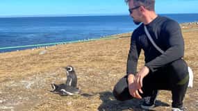 Île de Magdalena : Promenade avec les pingouins