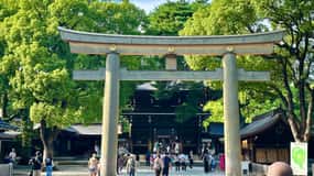 Tokyo: Meiji Jingu-helligdommen og shinto-kultur – vandringstur