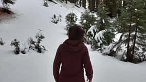 Sequoia National Park: Private Snowshoe Tour