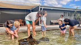 Anna Bay: Irukandji Entry Pass with Shallows Encounter
