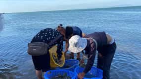 Uma viagem de 1 dia para Kep Beach e Kampot saindo de Phnom Penh