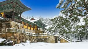 Busan: Gyeongju UNESCO Legacy Tour with National Museum