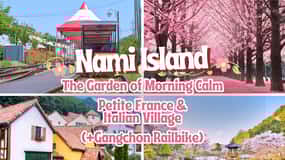 Séoul : L'île de Nami avec Korea Garden & Petite France