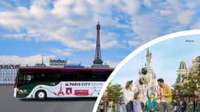 Paris: Round-Trip Transfer from Paris to Disneyland Paris