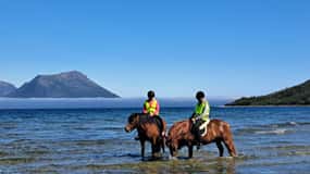 Tromsø: Experiencia de montar a caballo en verano en Lyngen