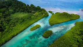 Portobelo Histórico y Venas Azules: Día de Playa e Historia