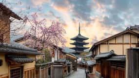 Kyoto/Osaka: Kyoto and Nara Customized Private Guided Tour