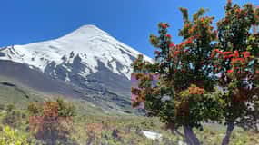 Puerto Montt: Excursão ao Vulcão Osorno em tour particular