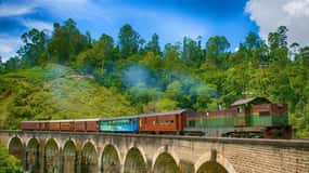 From Negombo: 2-Day Tour to Nuwara Eliya & Transfer Ella