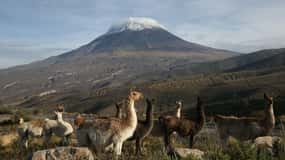 Excursion to the Salinas and Aguada Blanca National Reserve