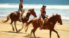 Cabo San Lucas: Horseback Riding in Migriño with Transfers