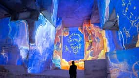 Les Baux-de-Provence: Carrières des Lumières entry ticket The Little Prince