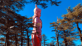 Shimla: Toy Train Ride and City Highlights Day Tour