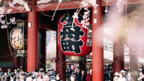 Tokyo : Visite guidée privée avec un guide local