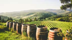 Da Civitavecchia: Tour enologico Toscana-Lazio con degustazioni