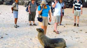 Galapagos Relax 8 Days Tour