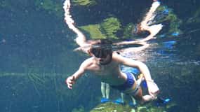 Casa cenote snorkeltour