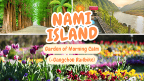 Séoul : L'île de Nami et le Jardin du Matin Calme (+Vélo)