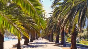 La Spezia: Guided Walking Tour with Italian-Inspired Music