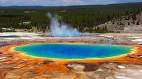 Los Angeles: 7-Day Small Group Yellowstone Tour Round Trip