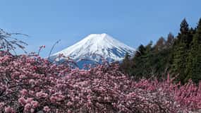 Mt. Fuji: 1-Day Private Tour from Tokyo with Certified Guide
