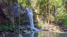 From Brisbane: Tamborine Mountain and Paradise Point Tour