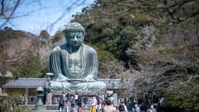 Trip to Kamakura & Enoshima: Shrines, Seaside, Temples &Tea