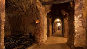 Orvieto: Besichtigung und Weinverkostung auf der Tenuta Le Velette