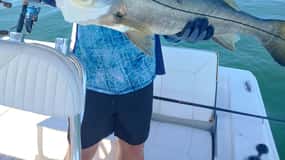 Sarasota Florida: Skyway Fishing Tours
