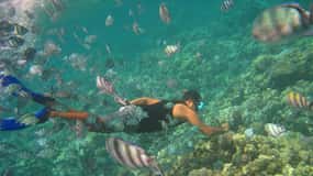 Nha Trang: Mun Island Marine Park und Schnorcheln am Korallenriff