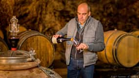 Afternoon - Loire Valley Wine Tour from Tours or Amboise