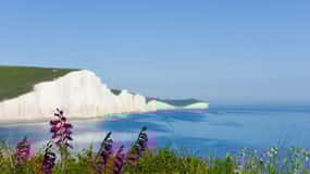 From London: Seven Sisters and Brighton Full-Day Tour