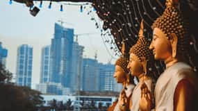 Negombo & Colombo: Full-Day Tour with Lunch