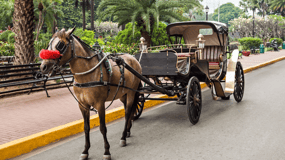 MANILA: HISTORICAL KALESA RIDE TOUR EXPERIENCE IN INTRAMUROS