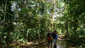 Iquitos: Aventura y expedición en el Amazonas, tour de 3 días